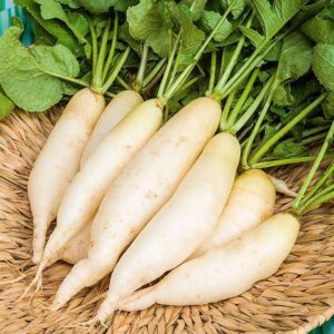 Củ cải