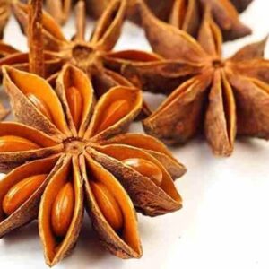 Hồi