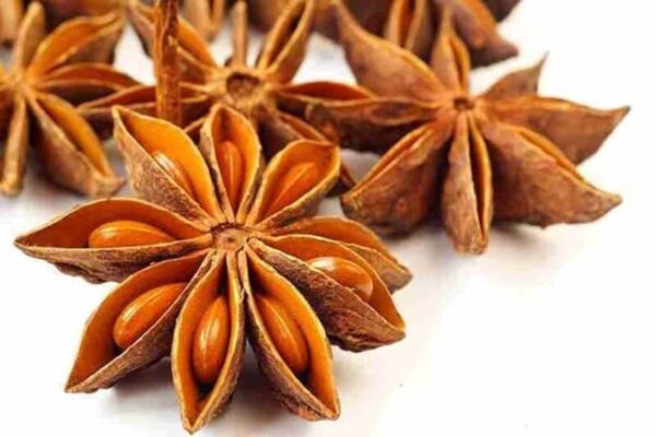 Hồi