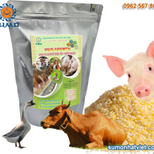 Men vi sinh bổ sung thức ăn chăn nuôi