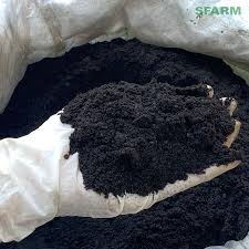 Phân bón hữu cơ từ bã mía
