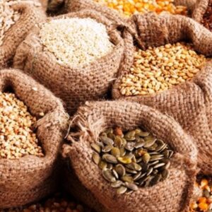 Hạt giống cây ăn trái (xoài, cam, bưởi, mít…)