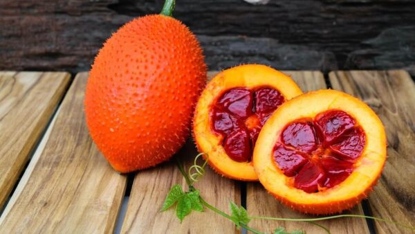 Gấc