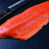 Cá hồi (Salmon)