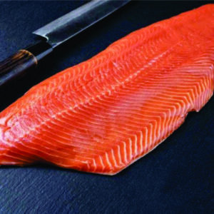 Cá hồi (Salmon)