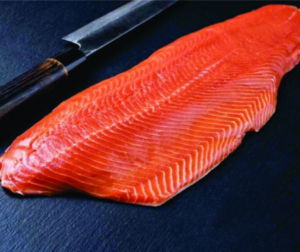 Cá hồi (Salmon)