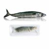 Cá thu (Mackerel)