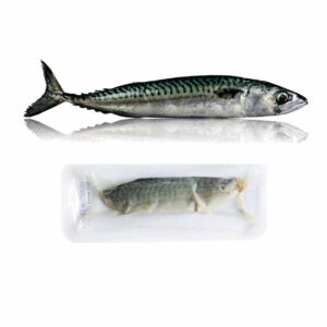 Cá thu (Mackerel)