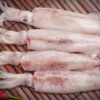 Mực ống (Squid)