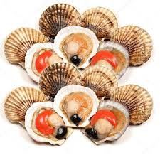 Sò điệp