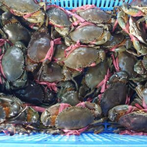 Cua (Crab)