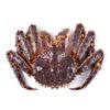 Cua hoàng đế (King Crab)