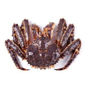 Cua hoàng đế (King Crab)