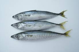 Cá thu đông lạnh (Frozen mackerel)