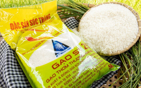 Gạo thơm (Jasmine, ST24, ST25)