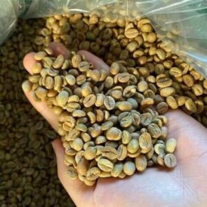 Cà phê nhân Robusta