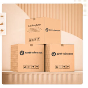 Bao bì carton (Carton Packaging)