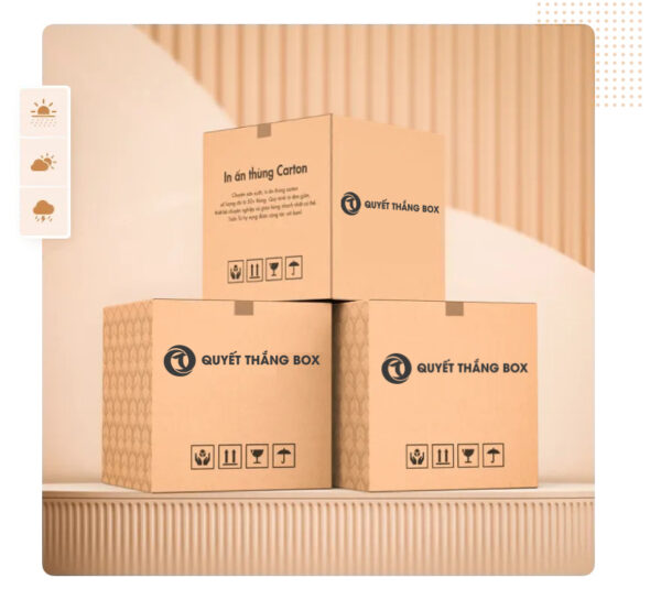 Bao bì carton (Carton Packaging)