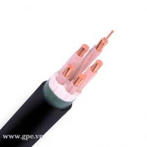 Dây Điện Bọc Nhựa (PVC, XLPE)