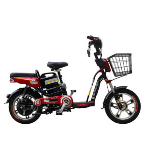 Xe Đạp Điện (Electric Bicycles)