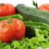 Rau quả hữu cơ (Rau cải, cà chua, dưa chuột)