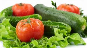 Rau quả hữu cơ (Rau cải, cà chua, dưa chuột)
